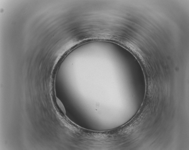 X0000086901085200704231147