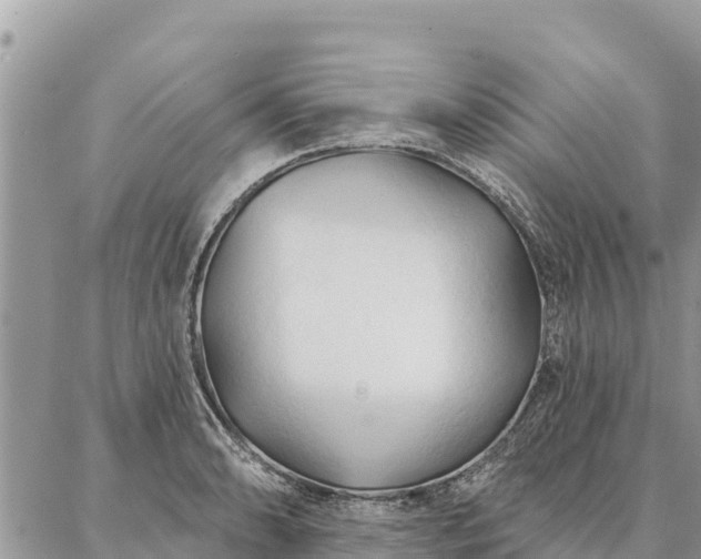 X0000086901086200704231147