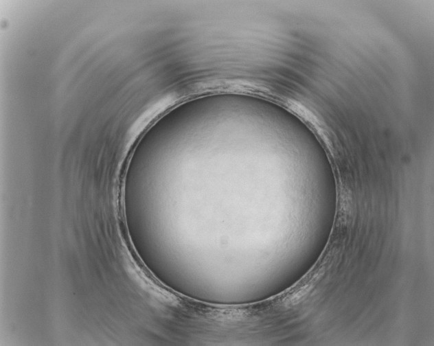 X0000086901090200704231147