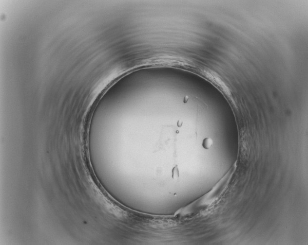 X0000086901091200704231147