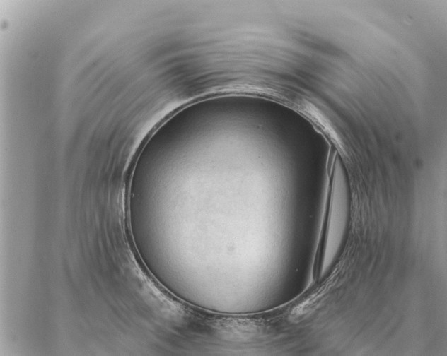 X0000086901092200704231147