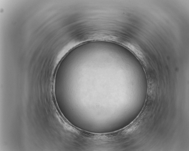 X0000086901094200704231147