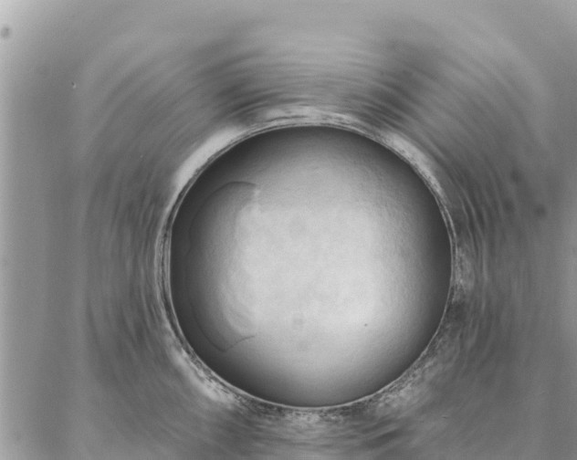 X0000086901098200704231147