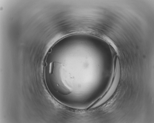 X0000086901099200704231147