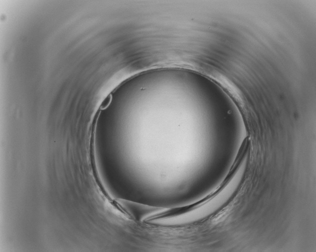 X0000086901102200704231147