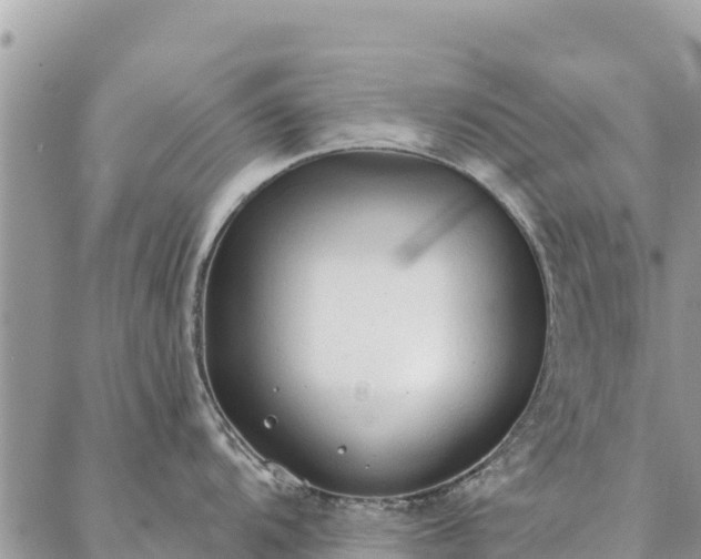 X0000086901104200704231147