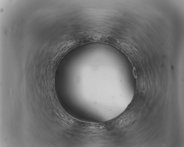 X0000086901105200704231146