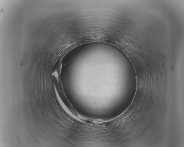 X0000086901106200704231146