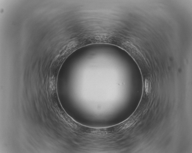 X0000086901107200704231146