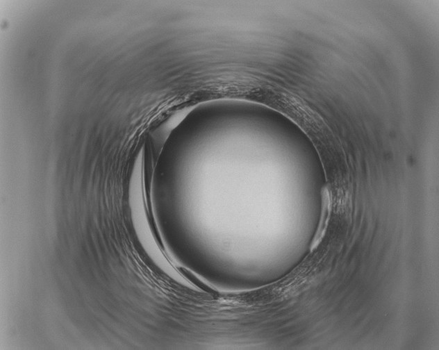 X0000086901108200704231146