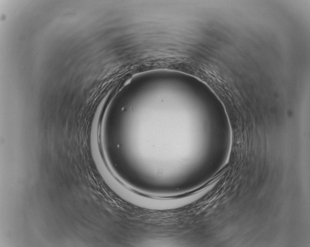 X0000086901109200704231146