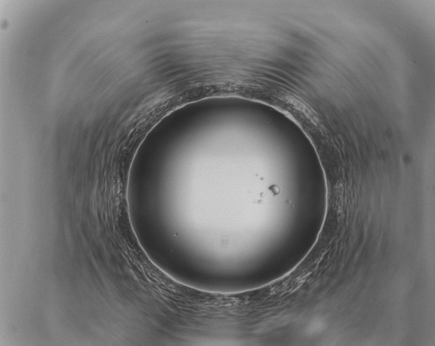 X0000086901111200704231146