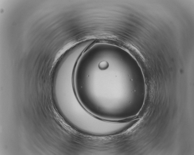 X0000086901114200704231146