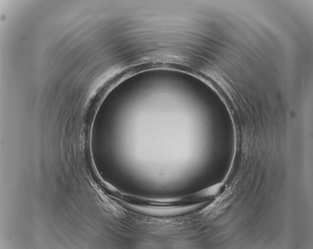 X0000086901115200704231146