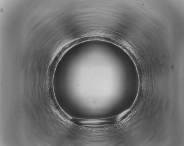 X0000086901116200704231146