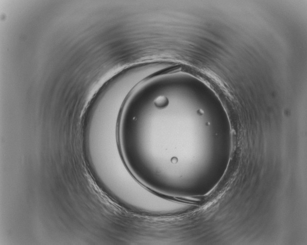 X0000086901118200704231146