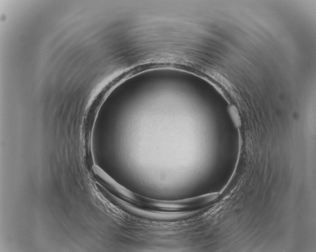 X0000086901120200704231146