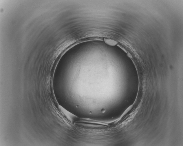 X0000086901121200704231146