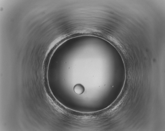 X0000086901122200704231146