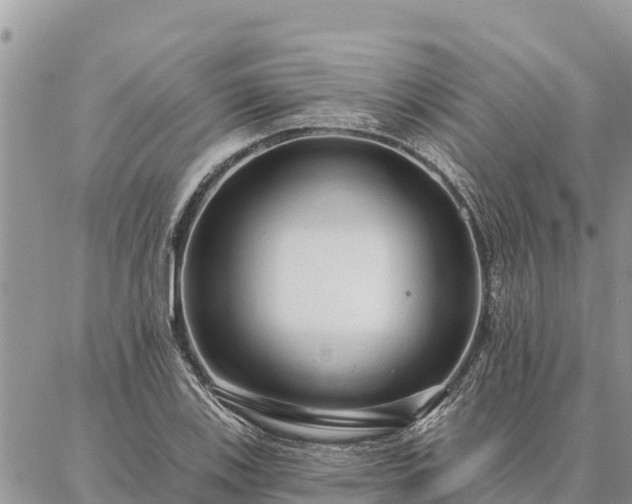 X0000086901123200704231146