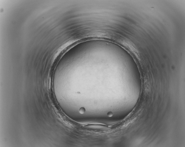 X0000086901125200704231146