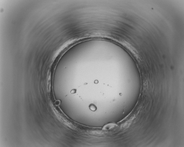 X0000086901126200704231146