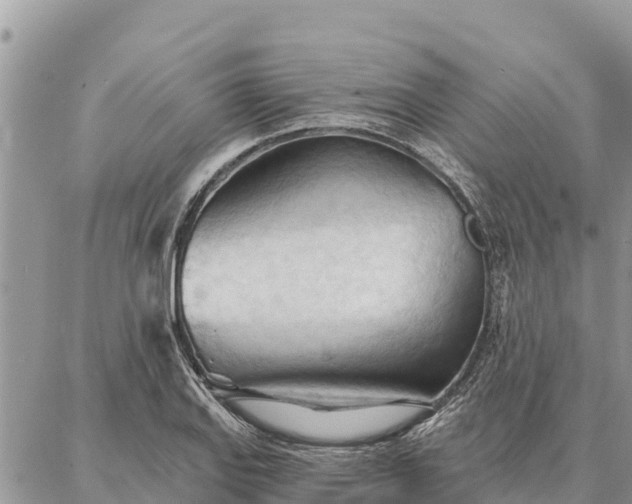 X0000086901127200704231146