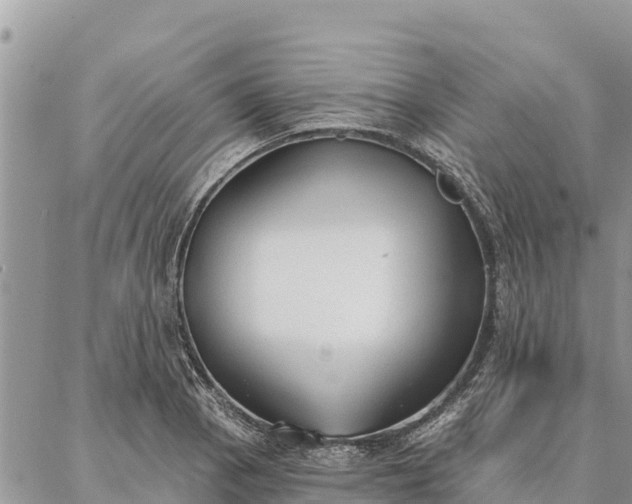 X0000086901129200704231146