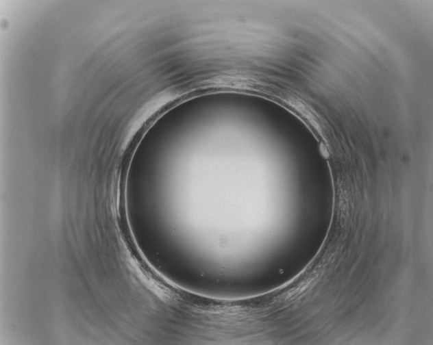 X0000086901131200704231146