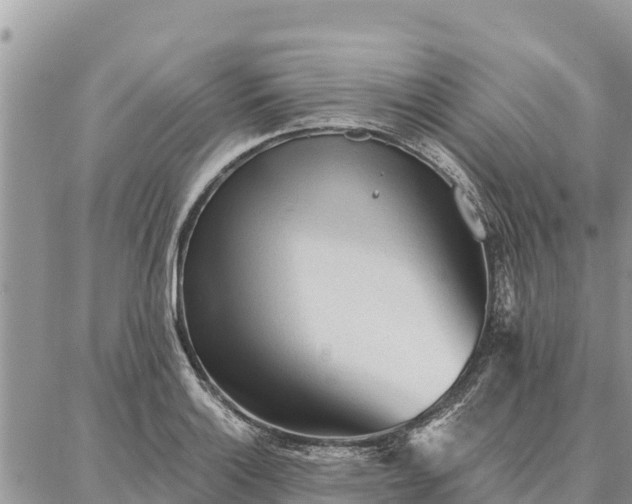 X0000086901132200704231146