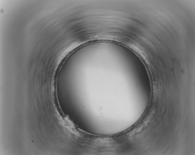 X0000086901133200704231146