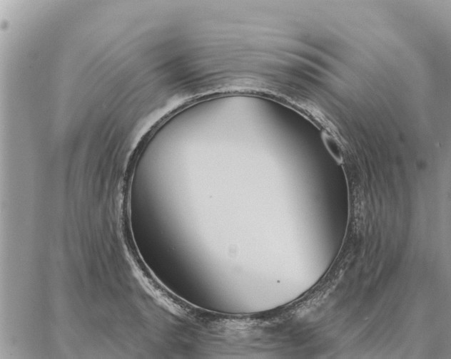 X0000086901134200704231146