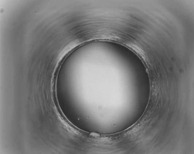 X0000086901135200704231146