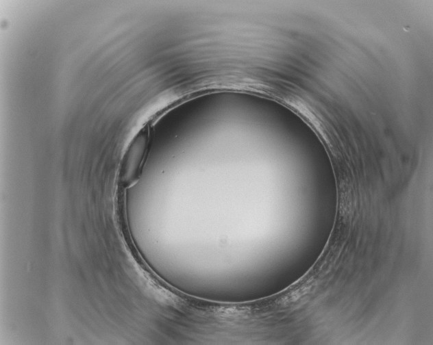 X0000086901139200704231146