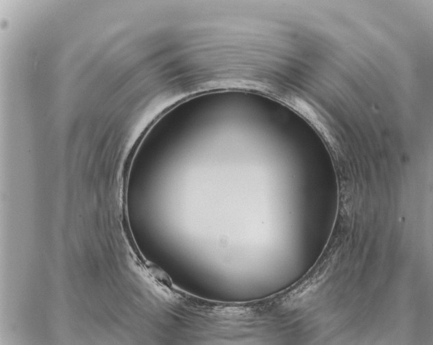 X0000086901140200704231146