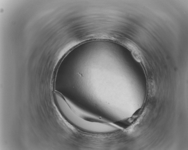 X0000086901141200704231147