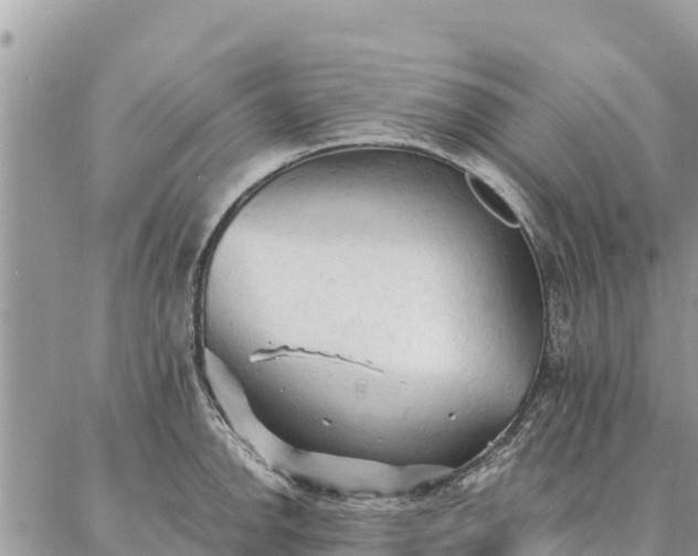 X0000086901142200704231147