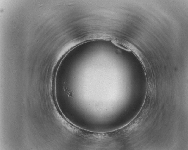 X0000086901147200704231147