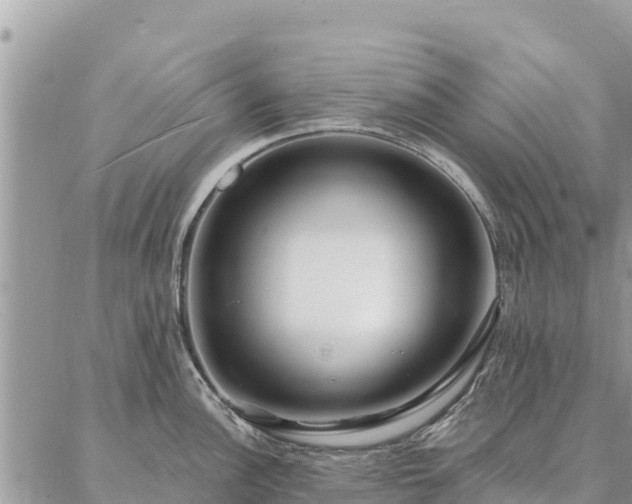 X0000086901148200704231147