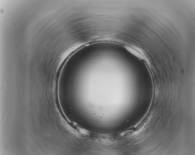 X0000086901149200704231147