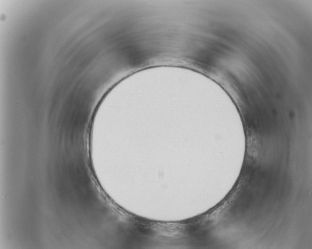 X0000086901150200704231147