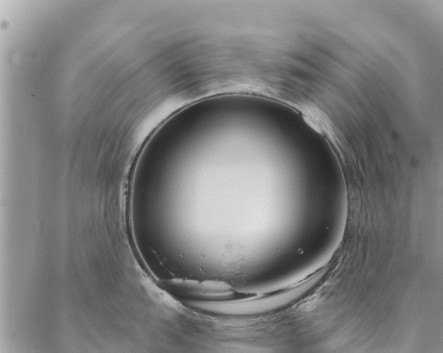 X0000086901151200704231147