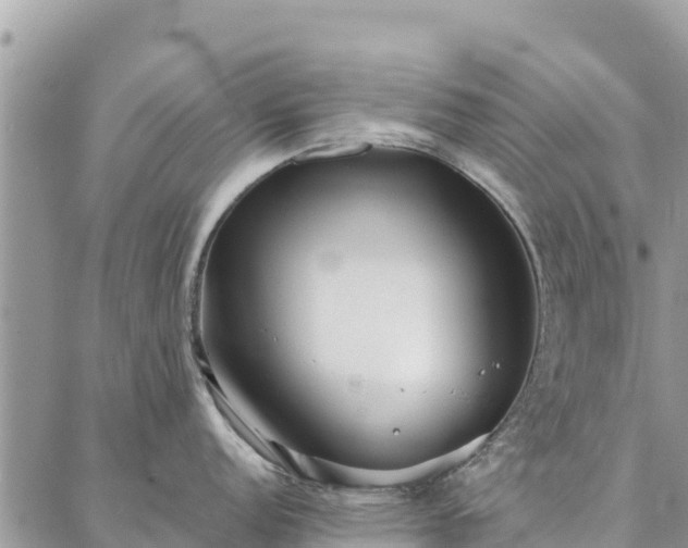 X0000086901152200704231147