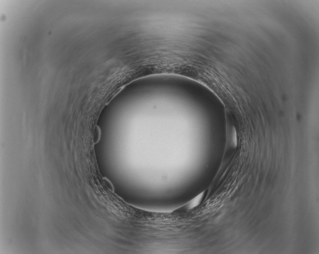 X0000086901153200704231146