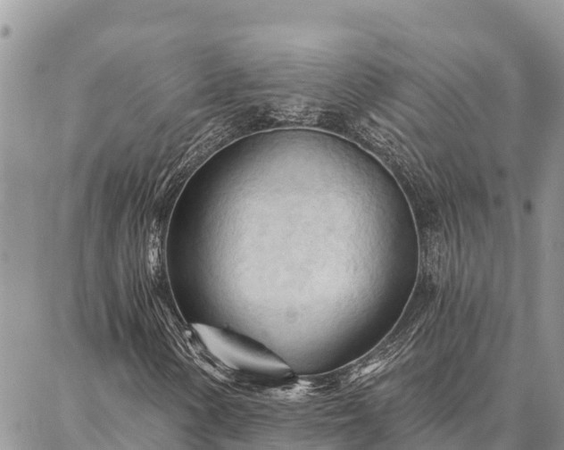 X0000086901154200704231146