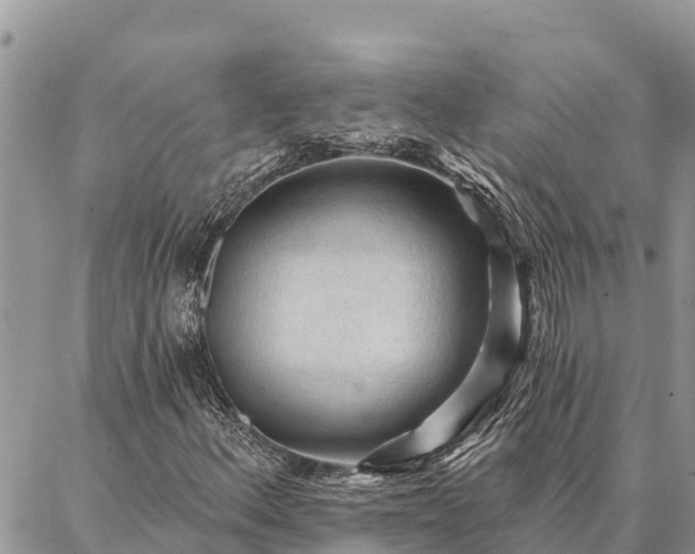 X0000086901156200704231146