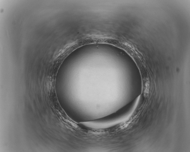 X0000086901157200704231146