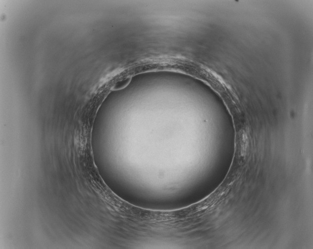 X0000086901158200704231146