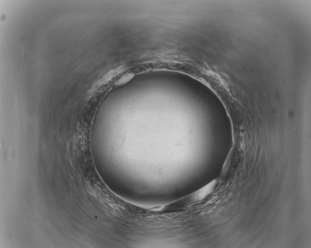 X0000086901159200704231146