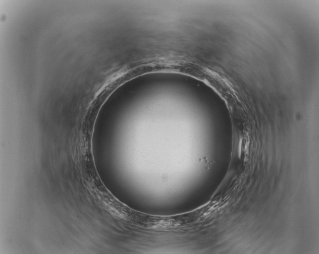 X0000086901160200704231146